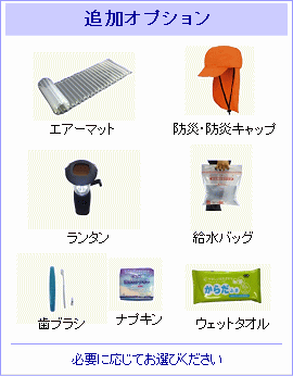 追加オプション