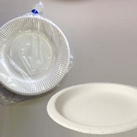 簡易食器 紙皿×1